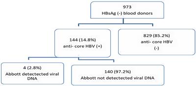Occult Hepatitis B Virus Infection Among Blood Donors in the Capital City of Addis Ababa, Ethiopia: Implications for Blood Transfusion Safety